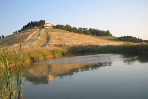 Agriturismo Le Crete
