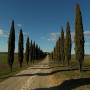 Borgo Beccanella